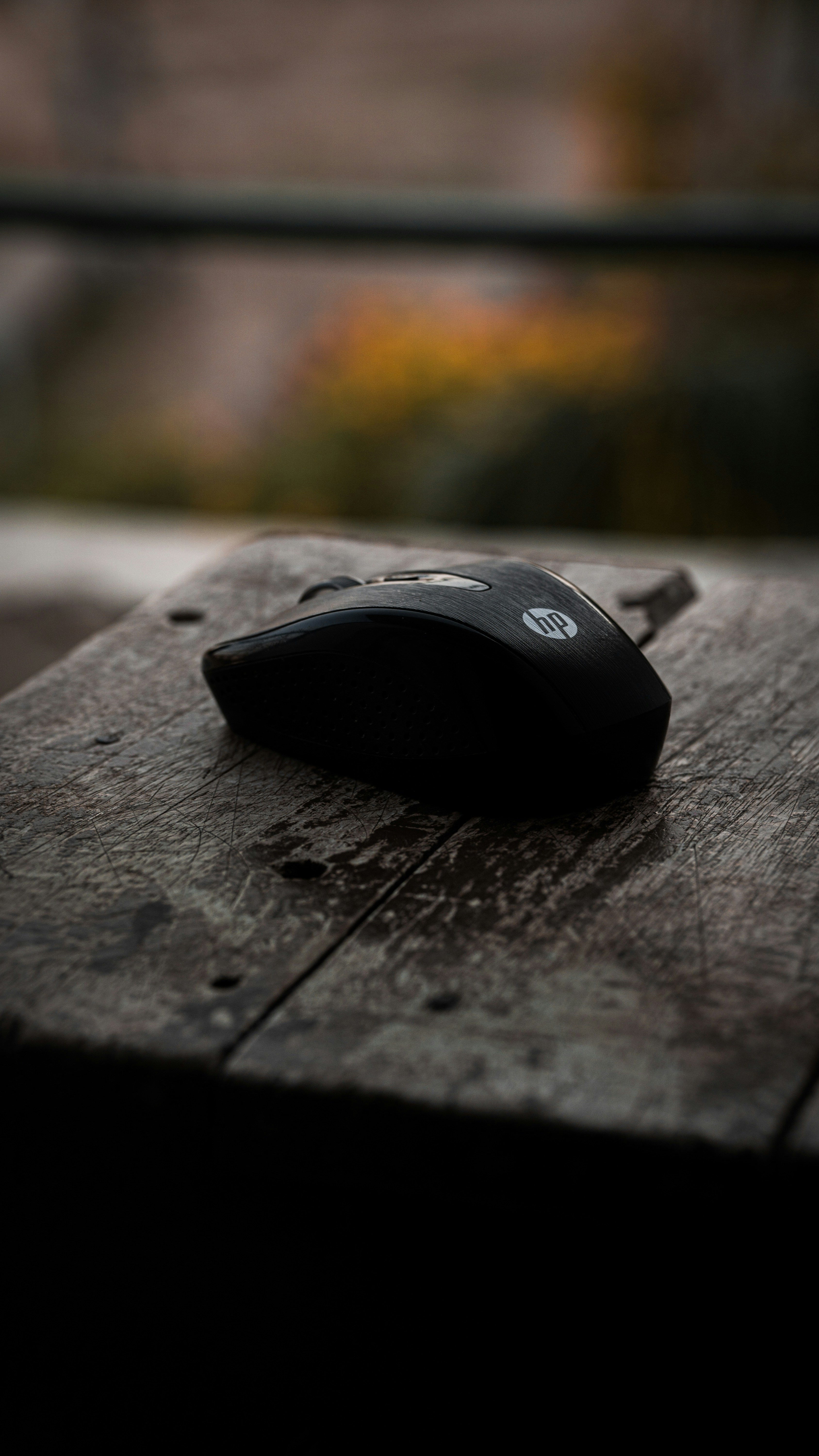 Mouse